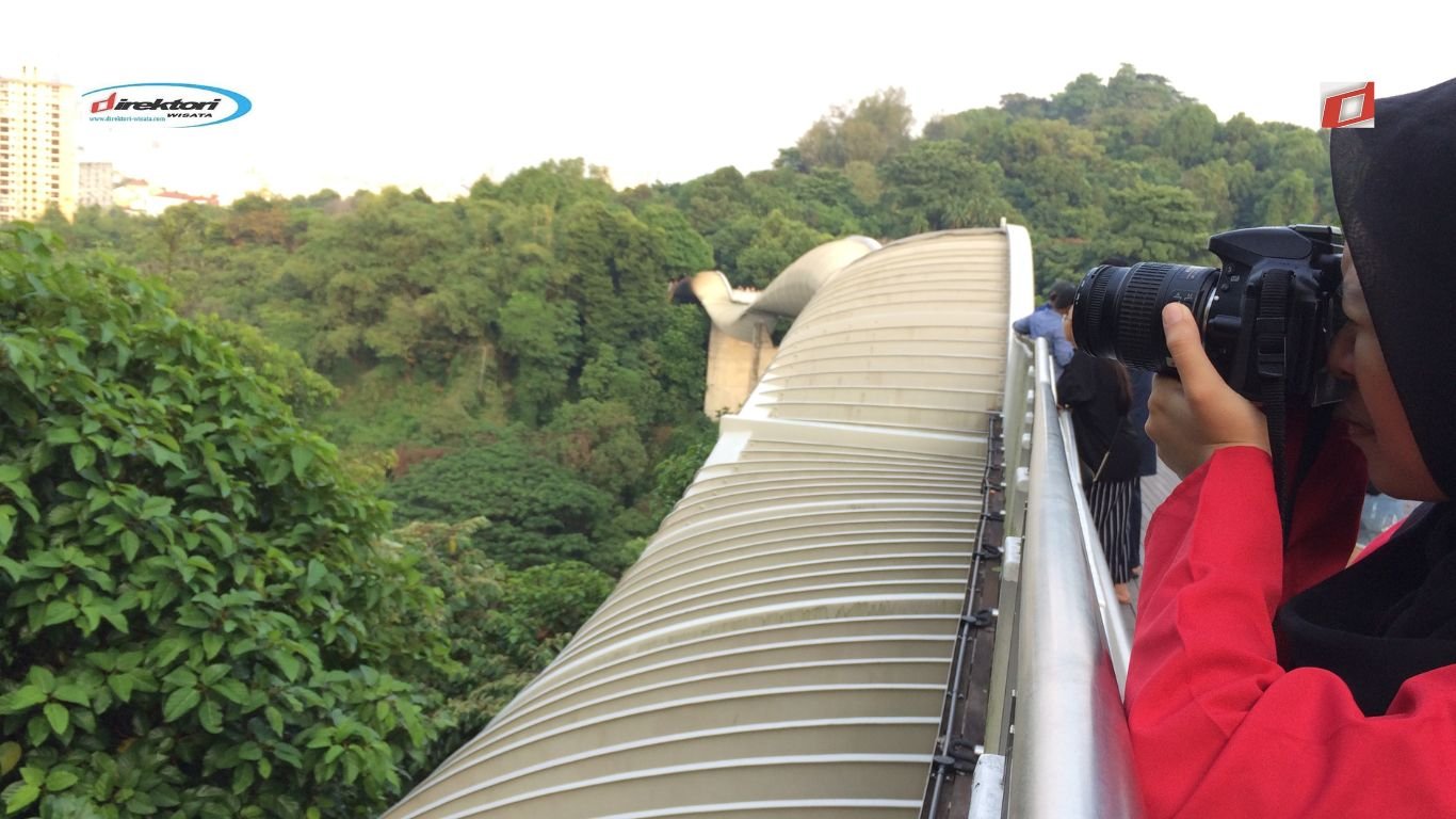 Menjelajahi Henderson Waves: Jembatan Tertinggi Sambil Wisata Alam Singapura Gratis yang Menakjubkan
