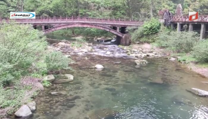 Peran Taman dalam Konservasi dan Perlindungan Lingkungan