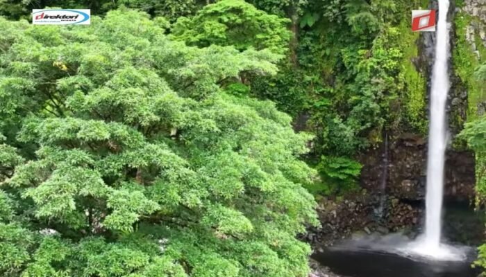 Sejarah Air Terjun Lembah Anai: Saksi Bisu Perjuangan Kemerdekaan