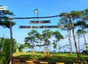 Squid Camp Bogor: Camping Seru Sambil Nikmati Sunset di Bogor