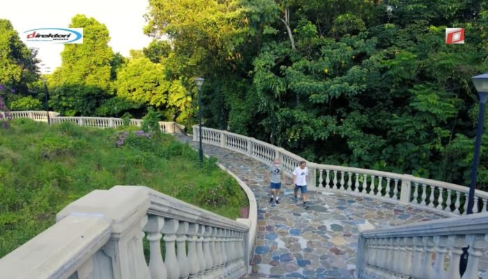 Telok Blangah Hill Park: Tempat untuk Hiking dan Nikmati Wisata Alam di Singapura