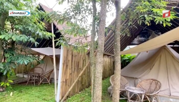 Testimoni Pengunjung