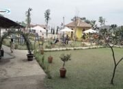 Warung Kebunqu Sentul: Liburan Bersama Keluarga di Bogor