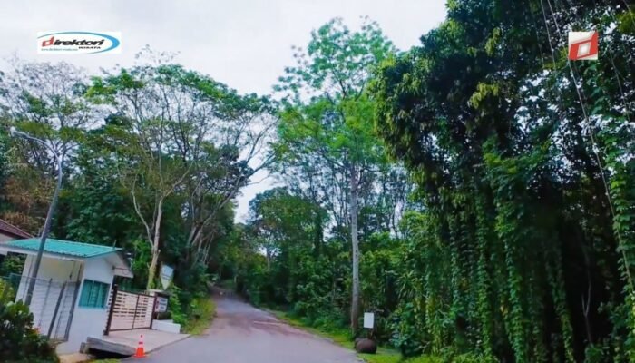 Fasilitas yang Tersedia di Taman