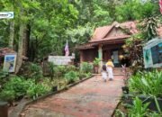 Pulau Dayang Bunting: Destinasi Wisata Alam Danau Gadis Hamil di Pulau Langkawi, Malaysia