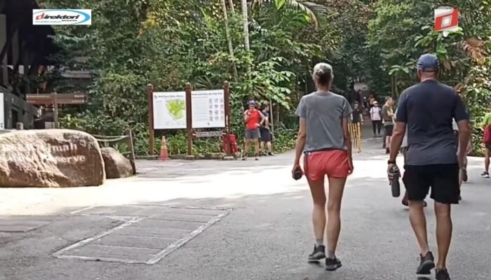 Ragam Aktivitas Outdoor di Taman Nasional