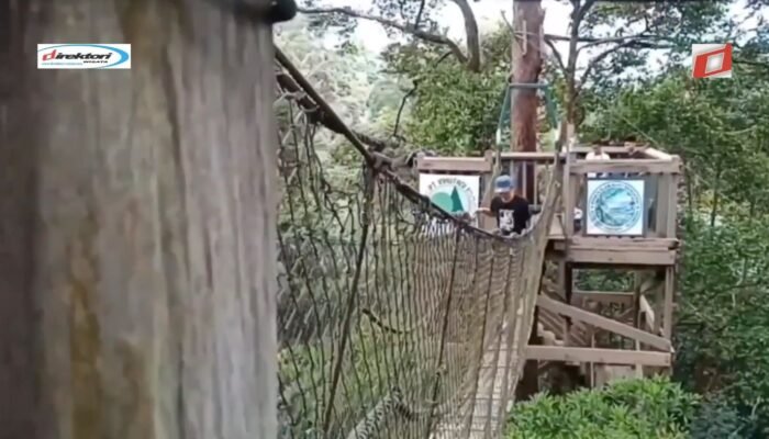 8 Wisata Alam Kalimantan Timur yang Indah dan Mempesona