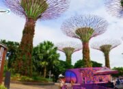 Wisata Alam Singapura: Gardens by the Bay, Destinasi Wisata Terkenal di Singapura