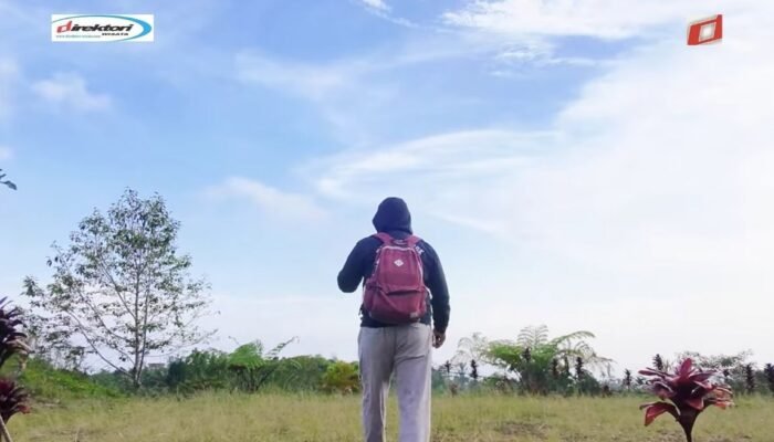 Aktivitas Menarik di Sekitar Bukit Cemara