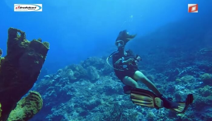 Aktivitas Menarik di Kepulauan Togean