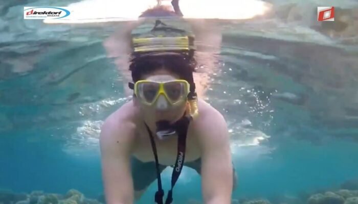 Aktivitas Wisata yang Tersedia