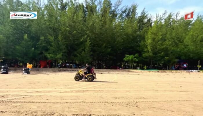 Aktivitas yang Bisa Dilakukan