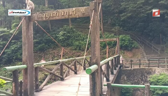 Aktivitas yang Bisa Dilakukan