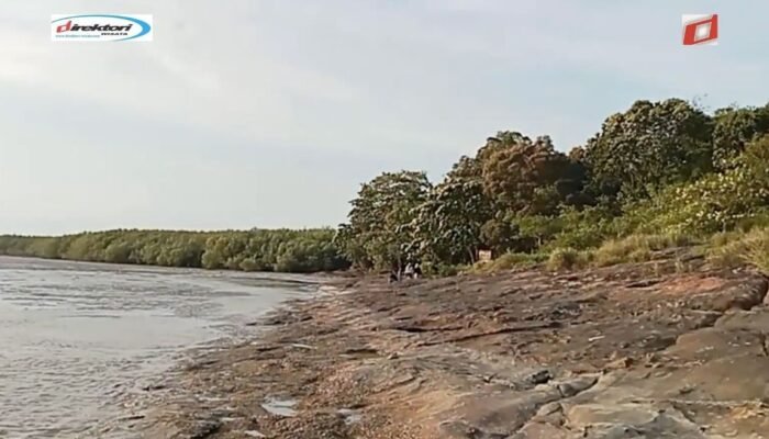 Aktivitas yang Dapat Dilakukan