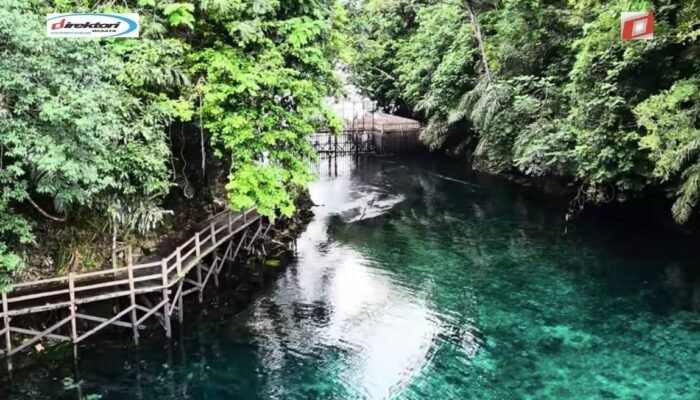 Ekosistem dan Flora Fauna di Danau Labuan Cermin
