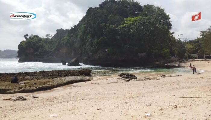 Kegiatan Konservasi dan Pelestarian Alam