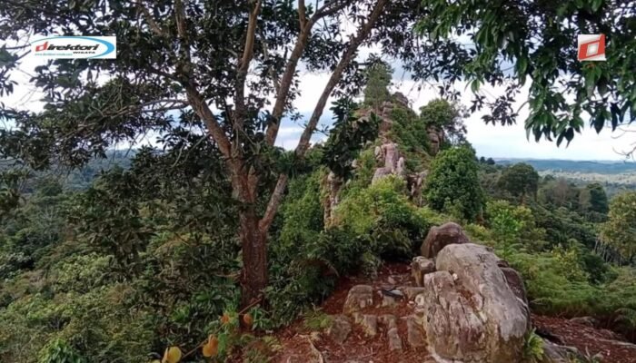 Kegiatan Wisata di Sekitar Batu Dinding