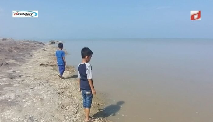 Kehidupan Laut di Sekitar Pantai