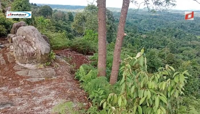 Kesimpulan: Mengapa Batu Dinding Samboja Perlu Dikunjungi