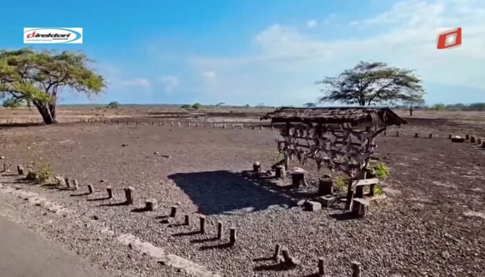 Menjelajahi Taman Nasional Baluran: Wisata Alam Situbondo, Jawa Timur