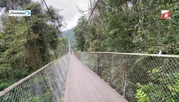 Pemandangan Alam di Sekitar Jembatan