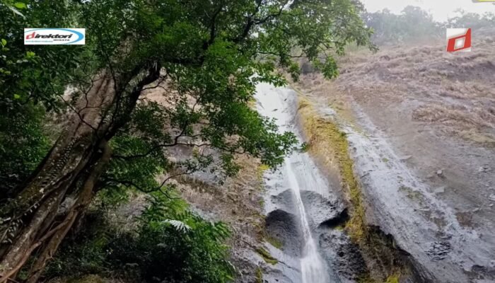 Tempat Menginap Terdekat