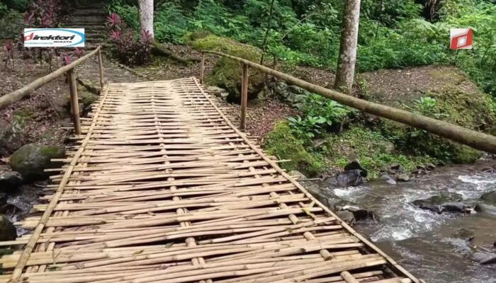 Testimoni Pengunjung