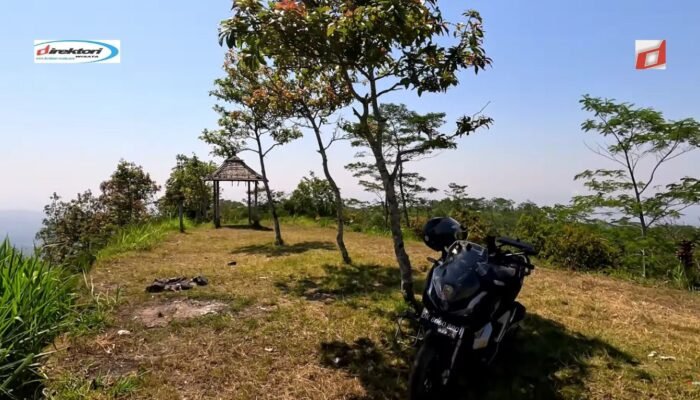 Tips dan Trik untuk Pengunjung