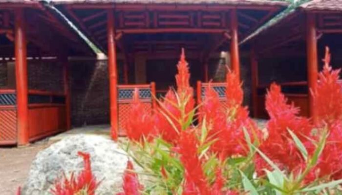 Aktivitas dan Festivitas di Museum Sewu Rai