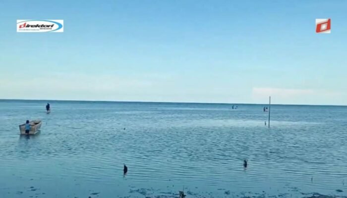 Aktivitas yang Bisa Dilakukan