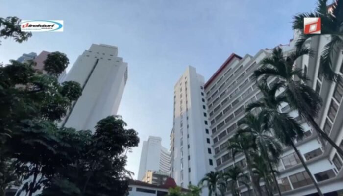 Kegiatan dan Tur di Sekitar