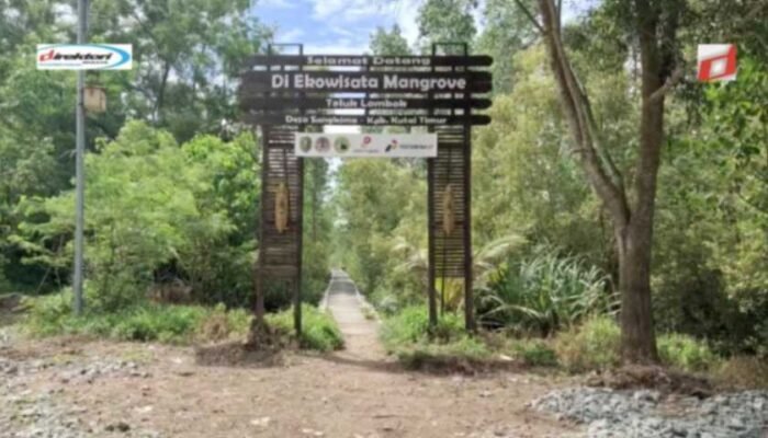 Konservasi Lingkungan di Pantai Teluk Lombok