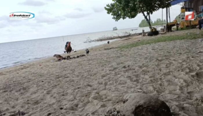 Kuliner Khas di Sekitar Pantai
