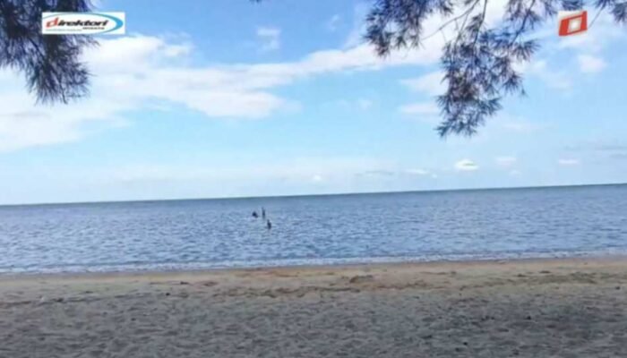 Terumbu Karang yang Eksotis