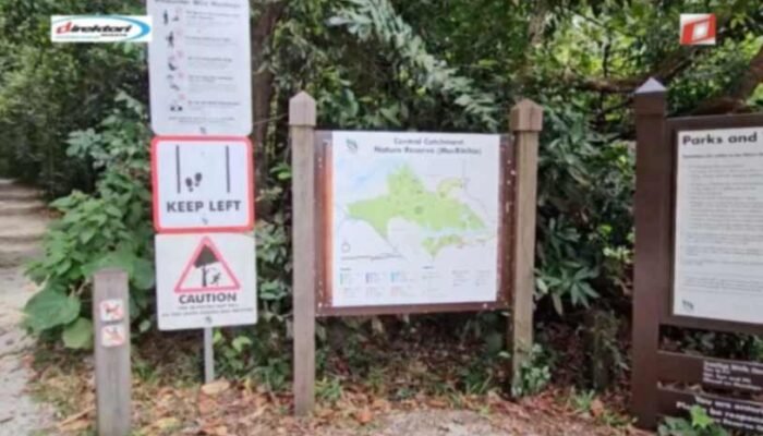 Aktivitas Berolahraga di MacRitchie