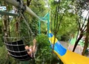 Escape Theme Park: Destinasi Wisata Seru di Penang, Malaysia