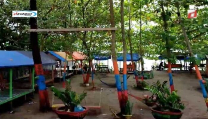 Kegiatan Budaya dan Acara Khusus di Taman Thong Nhat