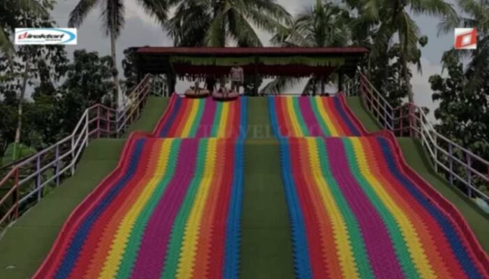 Kesimpulan dan Rekomendasi