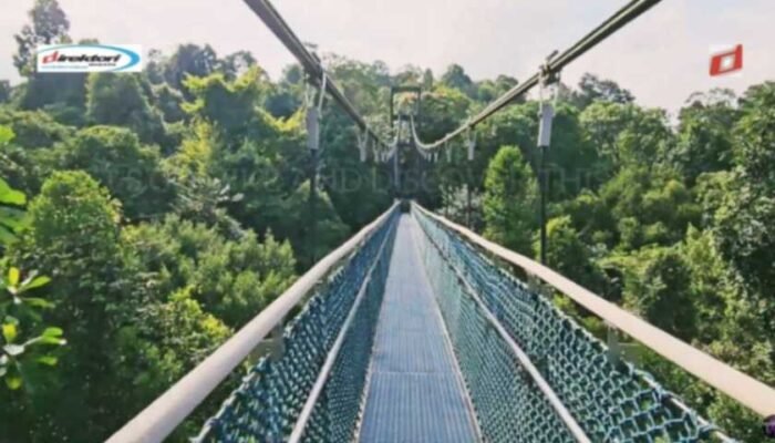 Menikmati Keindahan Alam