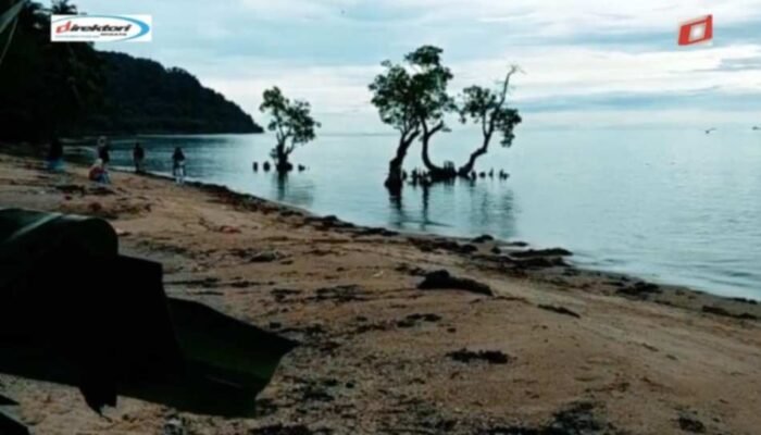 Pemandangan Sunset yang Mempesona