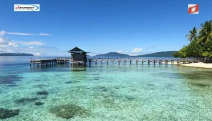 Pesona Bawah Laut: Ragam Hidupan yang Menakjubkan