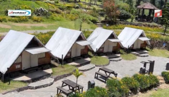 Kegiatan Sosial dan Budaya