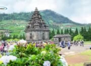 Wisata Candi Arjuna di Dieng Wonosobo, Jawa Tengah