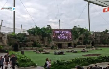 Surga Burung di Singapura: Tempat Wisata Terbaru yang Wajib Dikunjungi