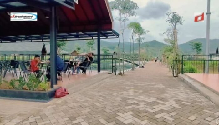 Ulasan dan Testimoni Pengunjung