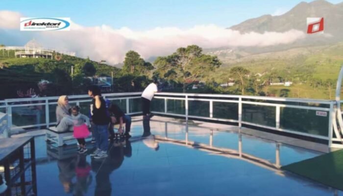 Aktivitas yang Bisa Dilakukan