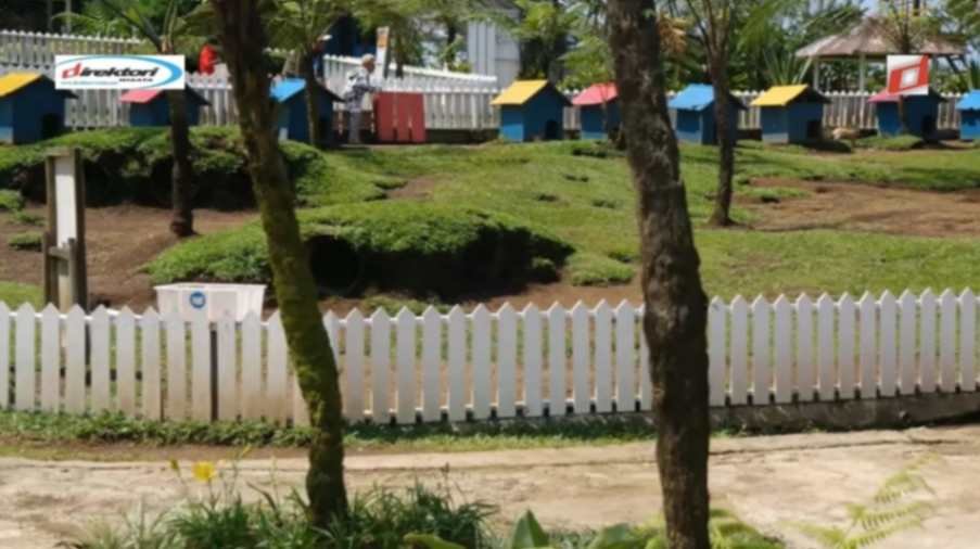 D'Las Lembah Asri Purbalingga: Wisata Alam Hits dan Unik