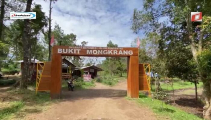 Keberlanjutan dan Konservasi Alam