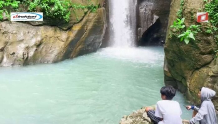 Kesan dan Pesan Pengunjung