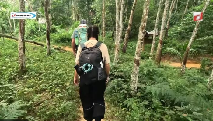 Sumatera: Keindahan Alam yang Menawan